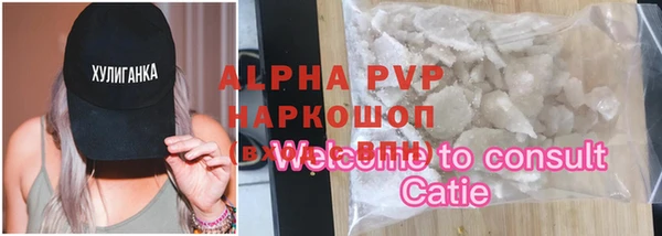 СК Инсар