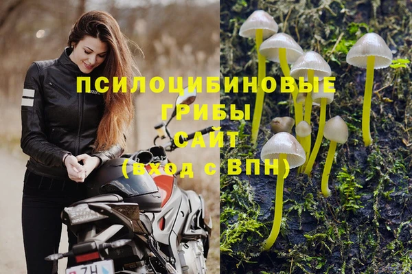 СК Инсар