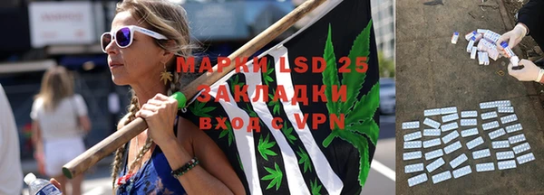 герыч Каменногорск