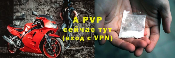 СК Инсар